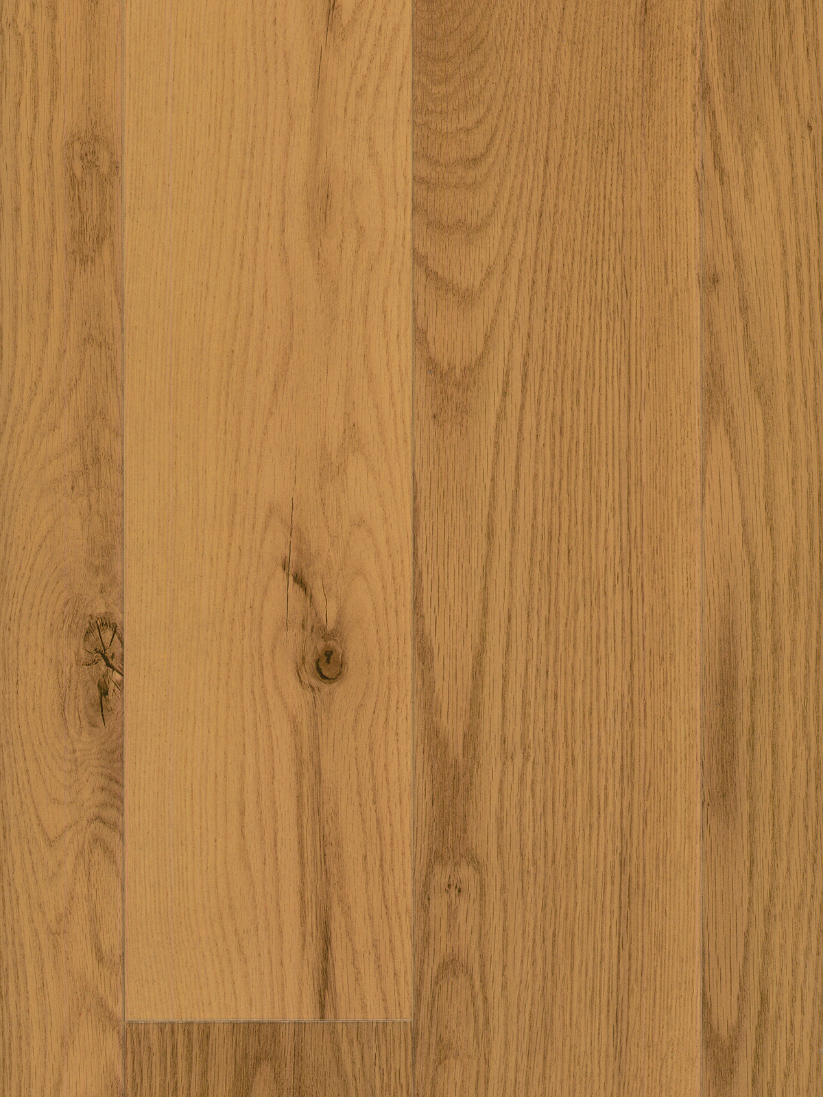 Natural Red Oak High Gloss 8.5mm image 1