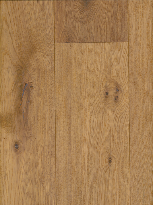 Tennessee Oak image 2