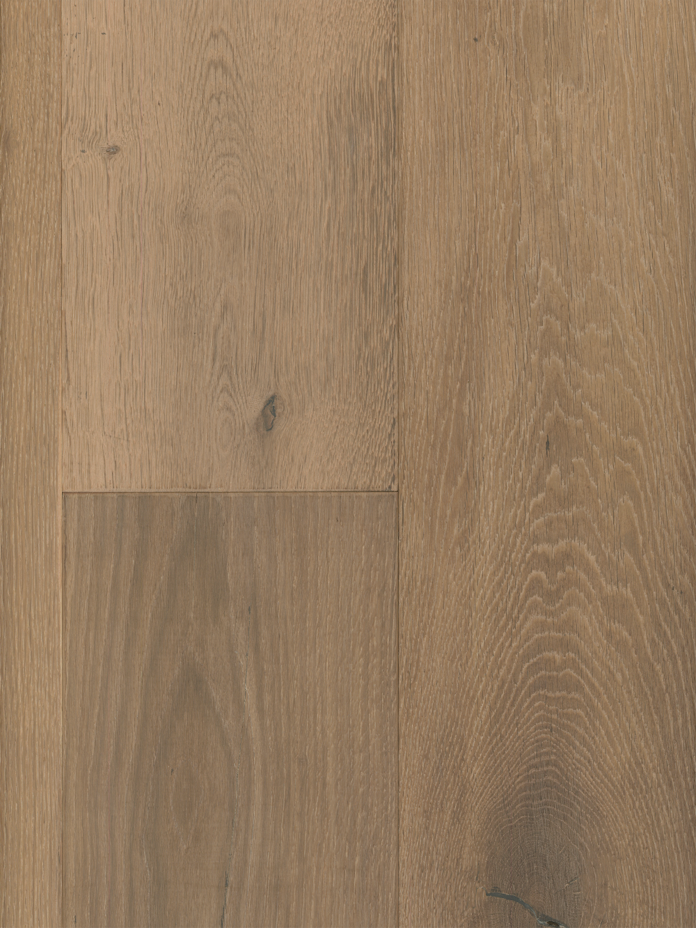 Indus Oak image 1