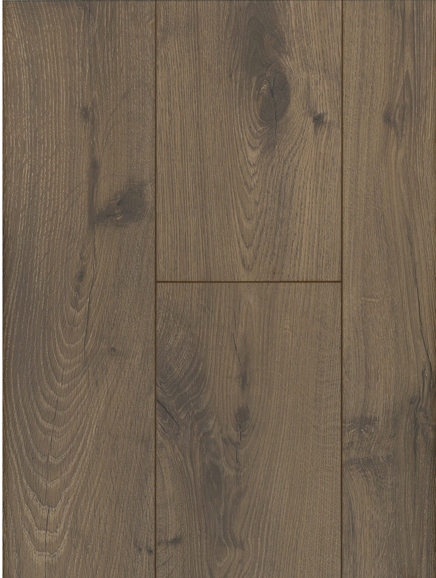 Carpi Oak image 1