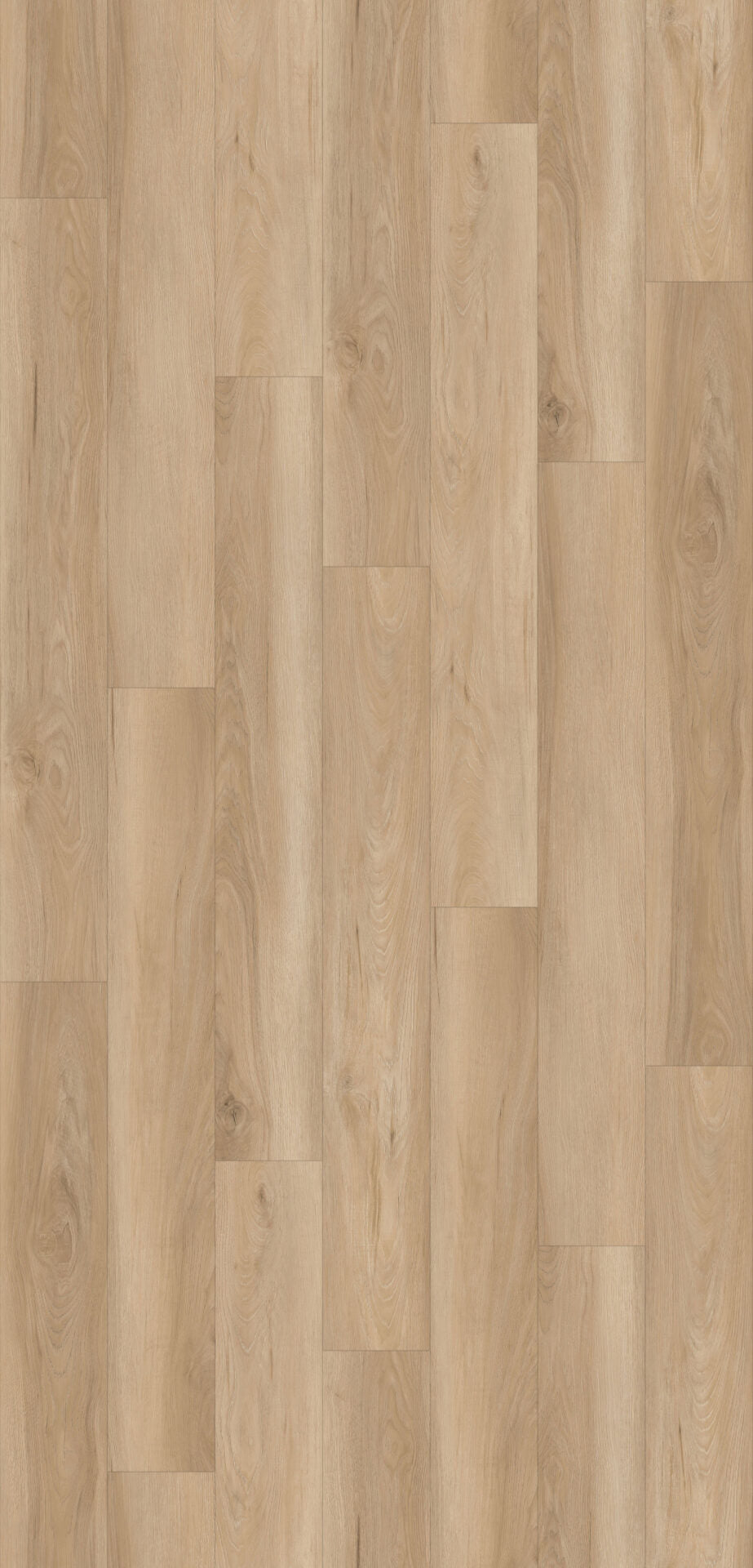 Caragh Oak image 1