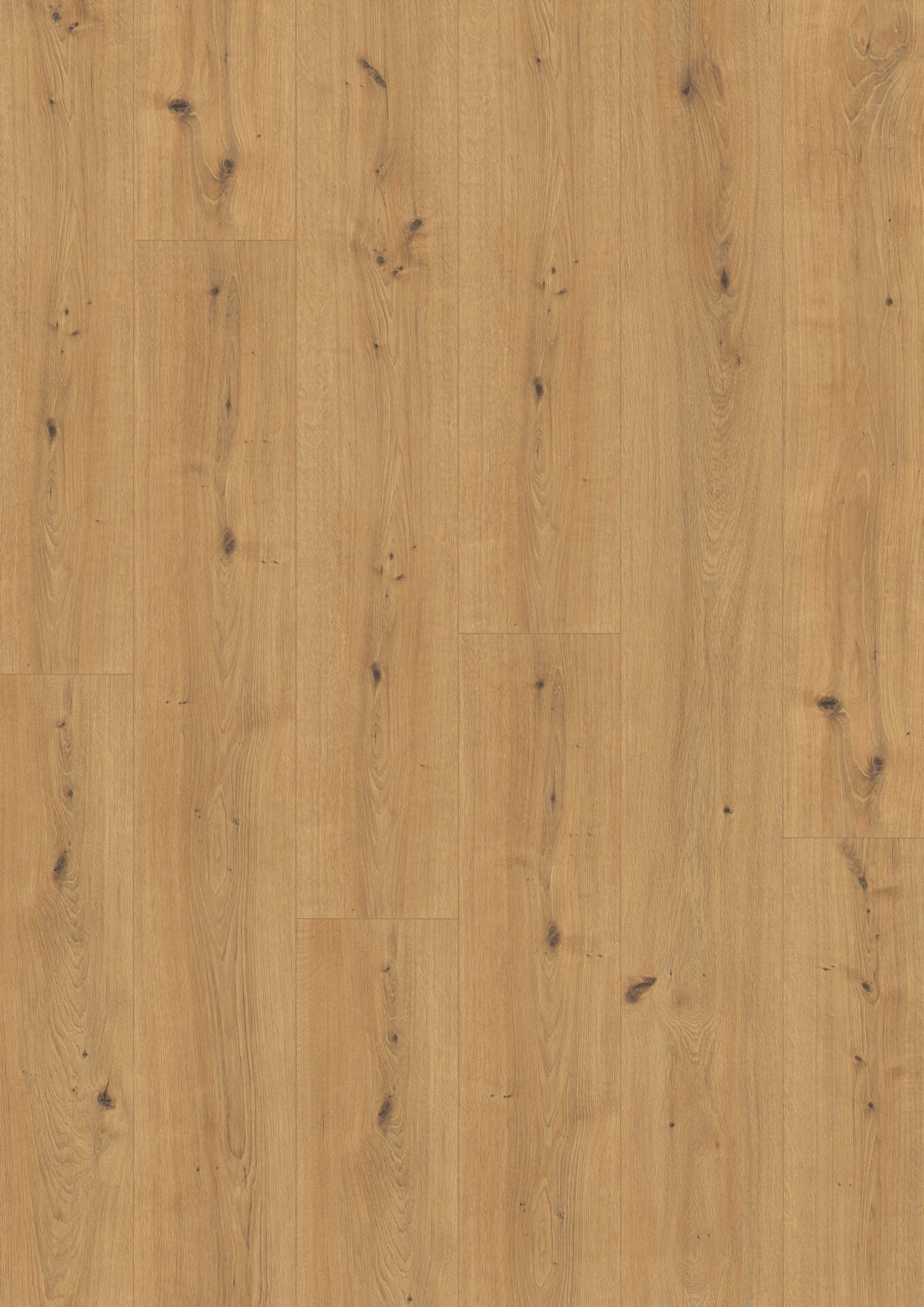 Honey Cadiz Oak Long image 2