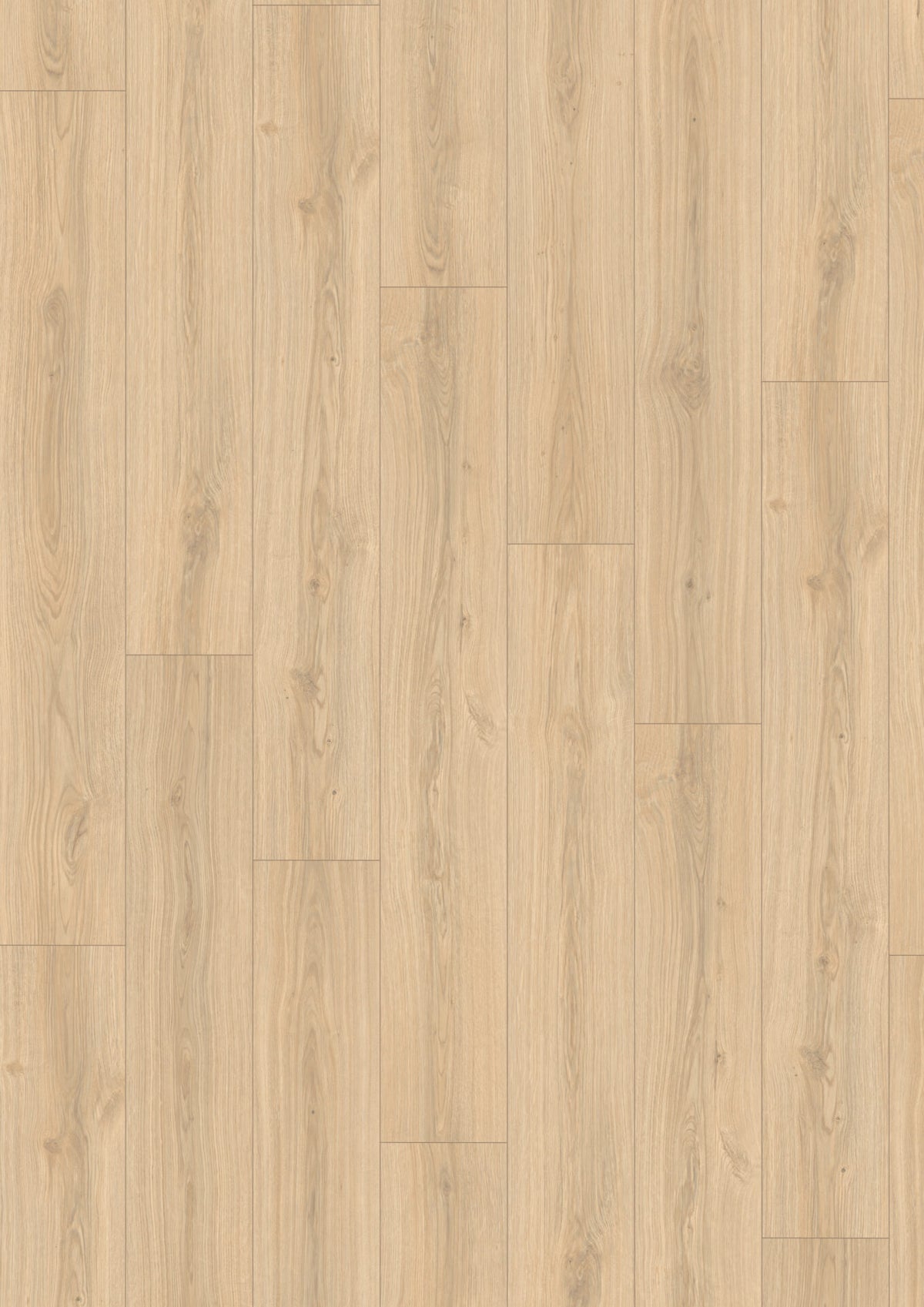 Light Padua Oak Laminate Flooring 8mm AC4 Aqua
