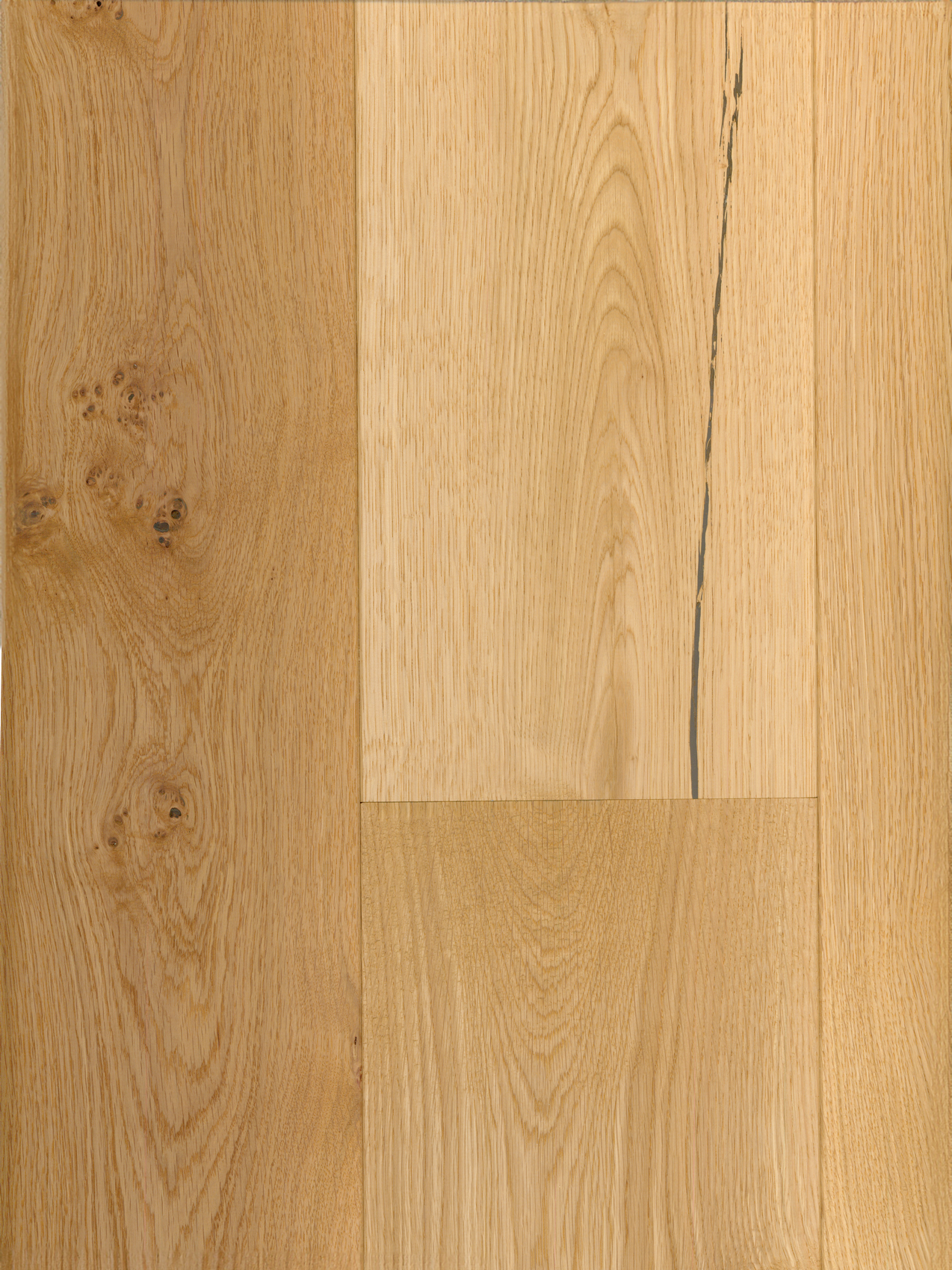 Kentucky White Oak image 2