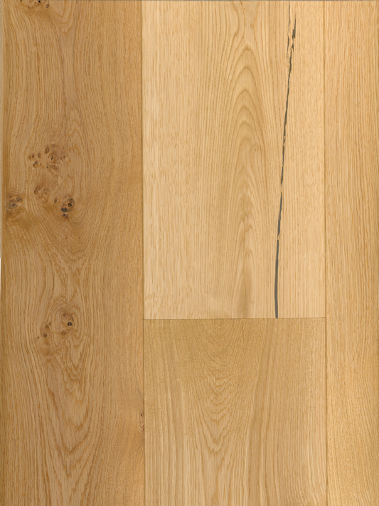 Kentucky White Oak image 2