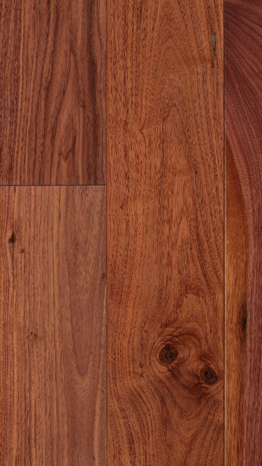 American Black Walnut 150mm image 1