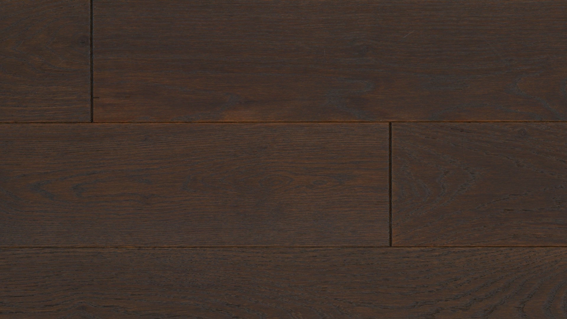 Bronze Oak image 1