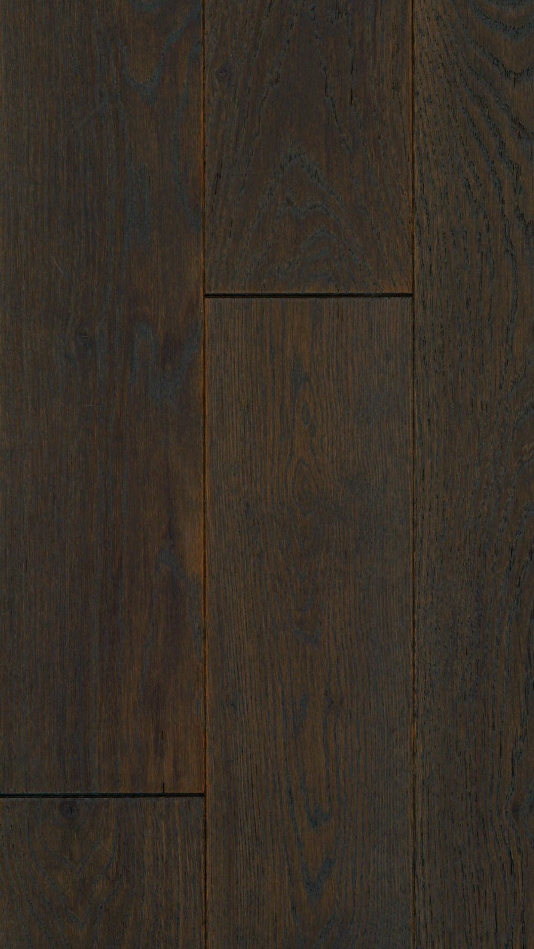 Bronze Oak image 2