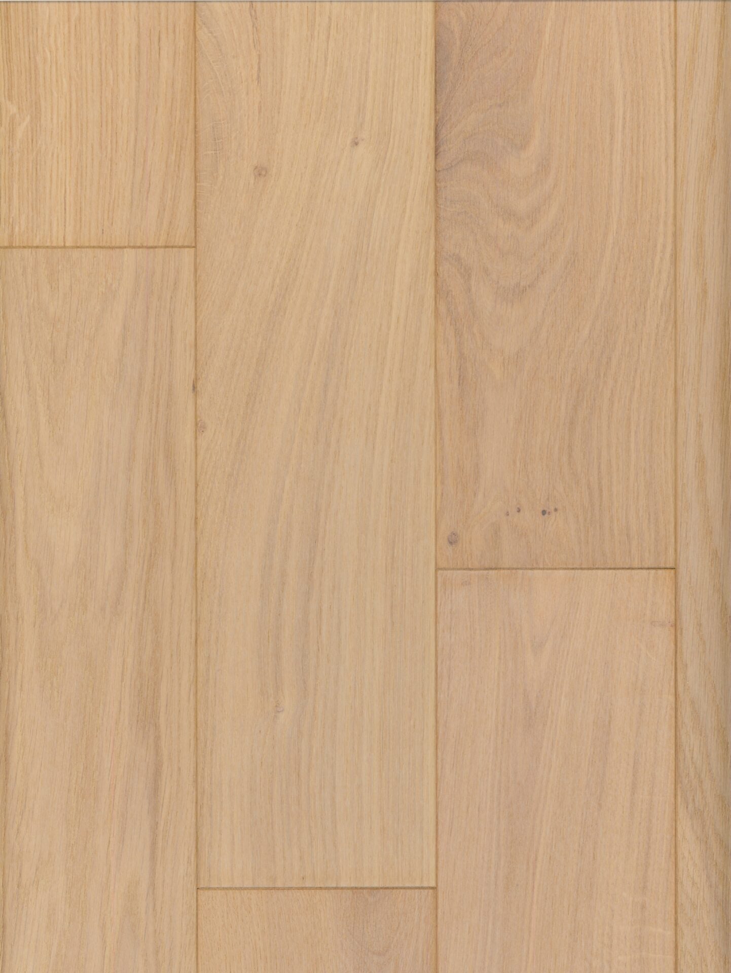 Windmill Oak image 1