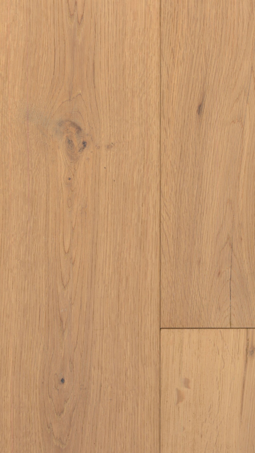 Mountain View Oak image 1