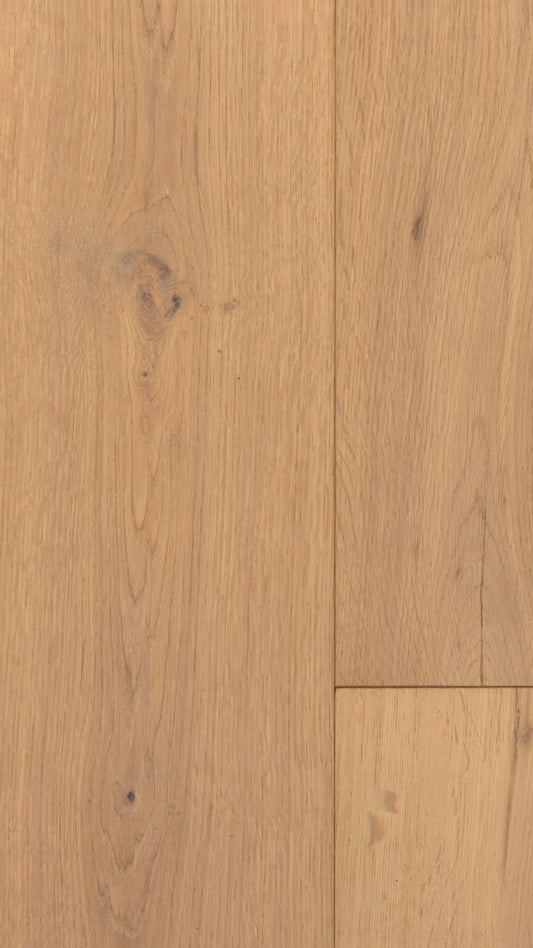 Mountain View Oak image 1