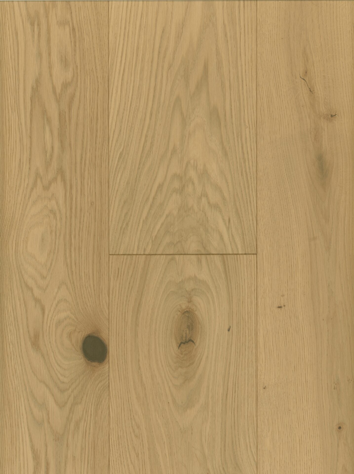 Mountain Valley Oak image 1