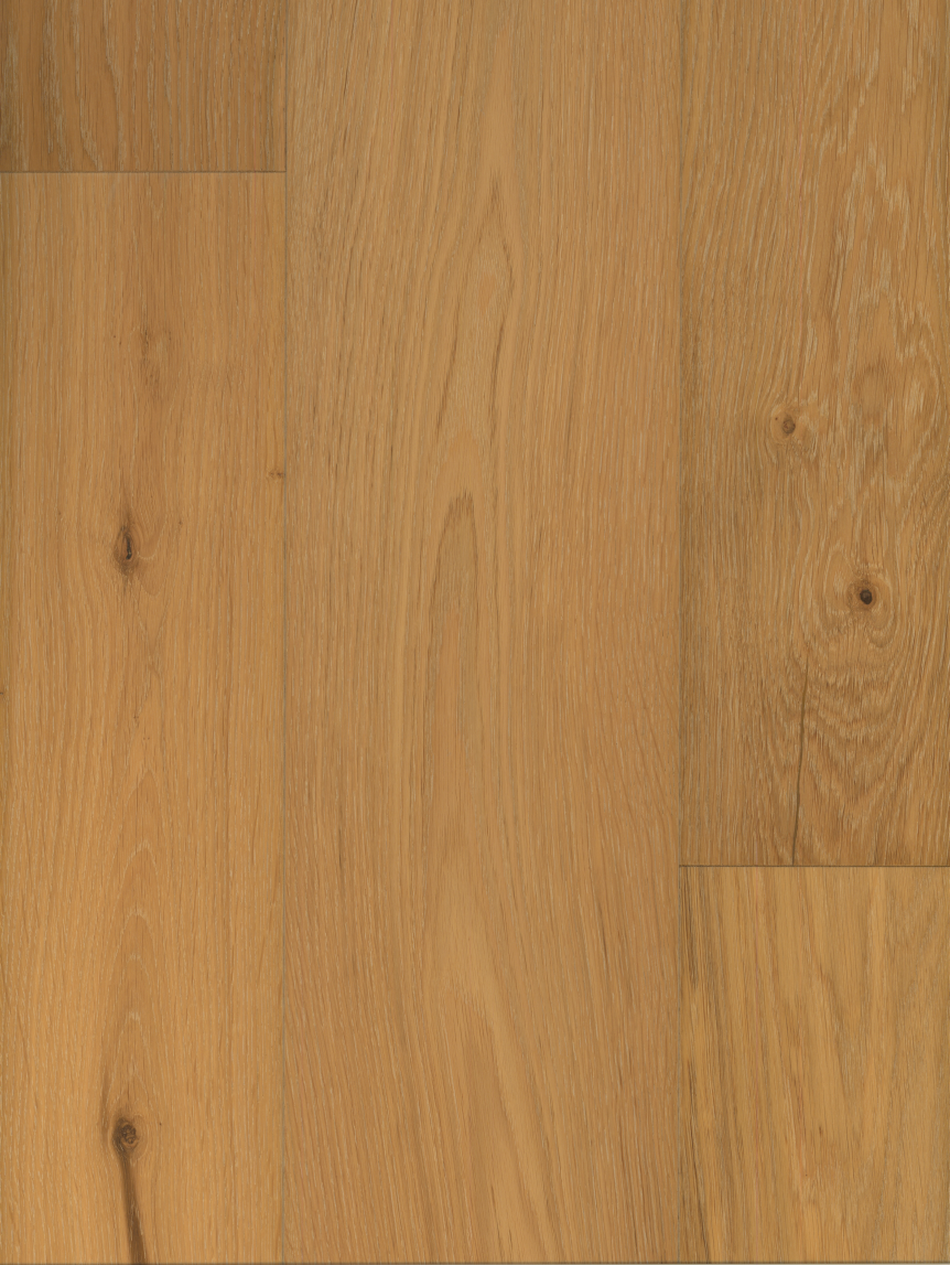 Mountain Meadow Oak image 2