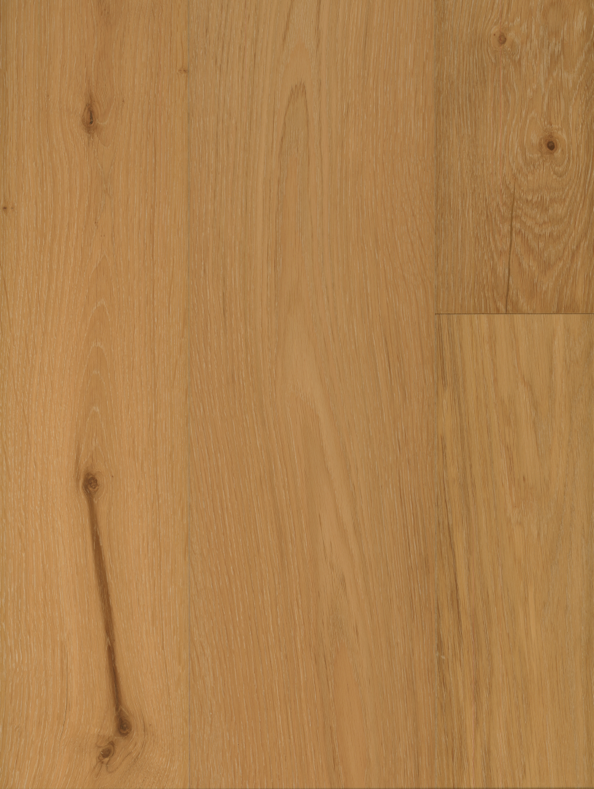 Mountain Meadow Oak image 1