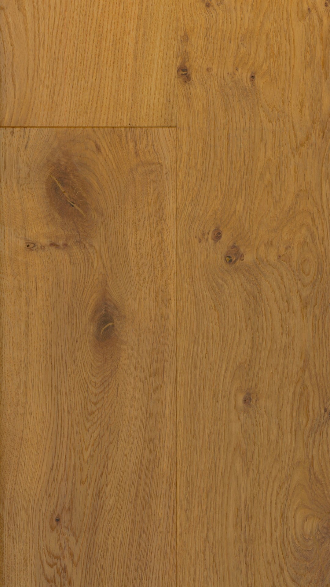 Castle Oak image 4