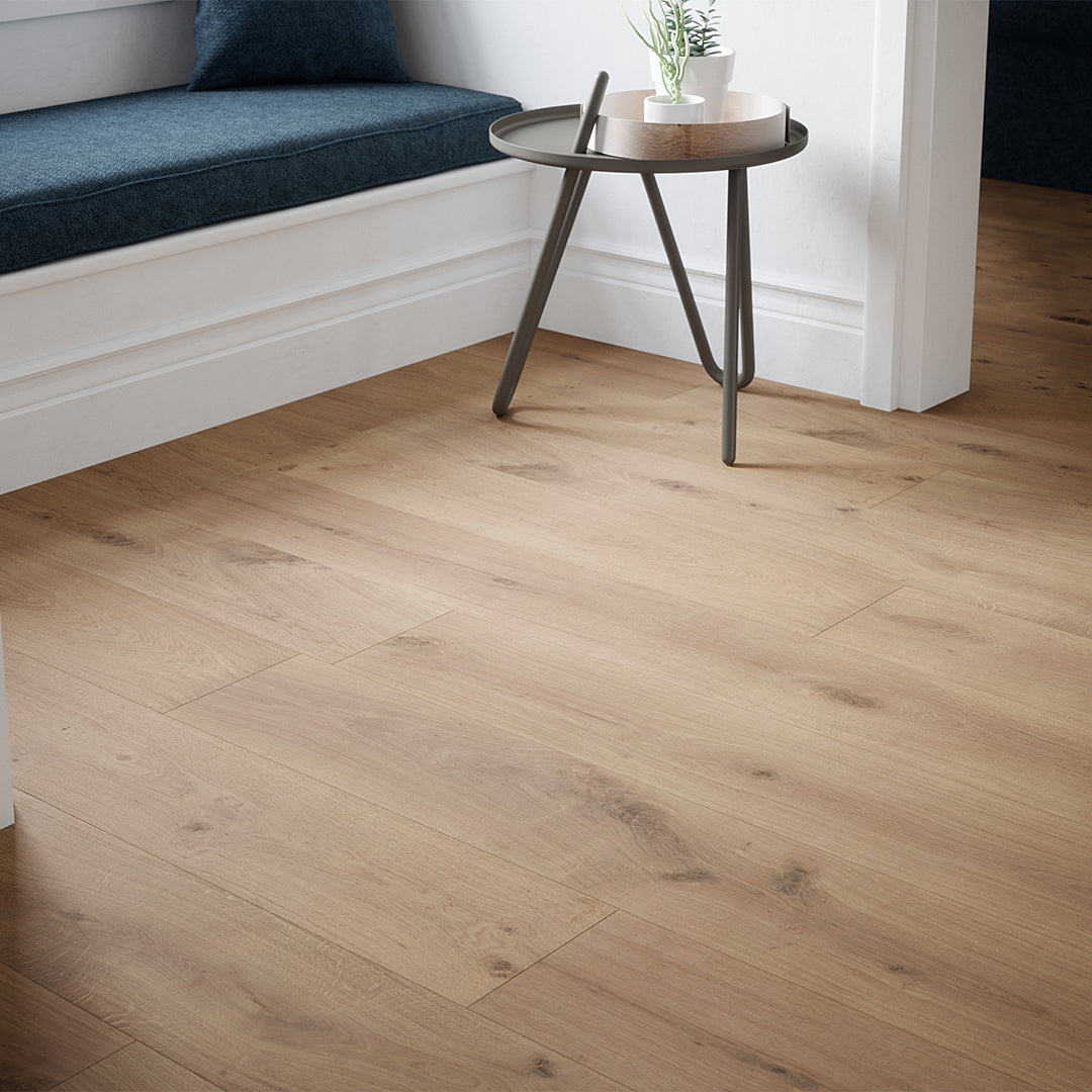 Desert Oak image 4