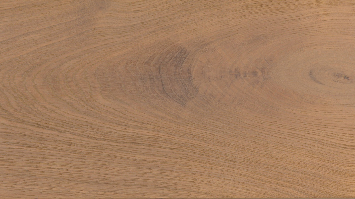 Desert Oak image 2
