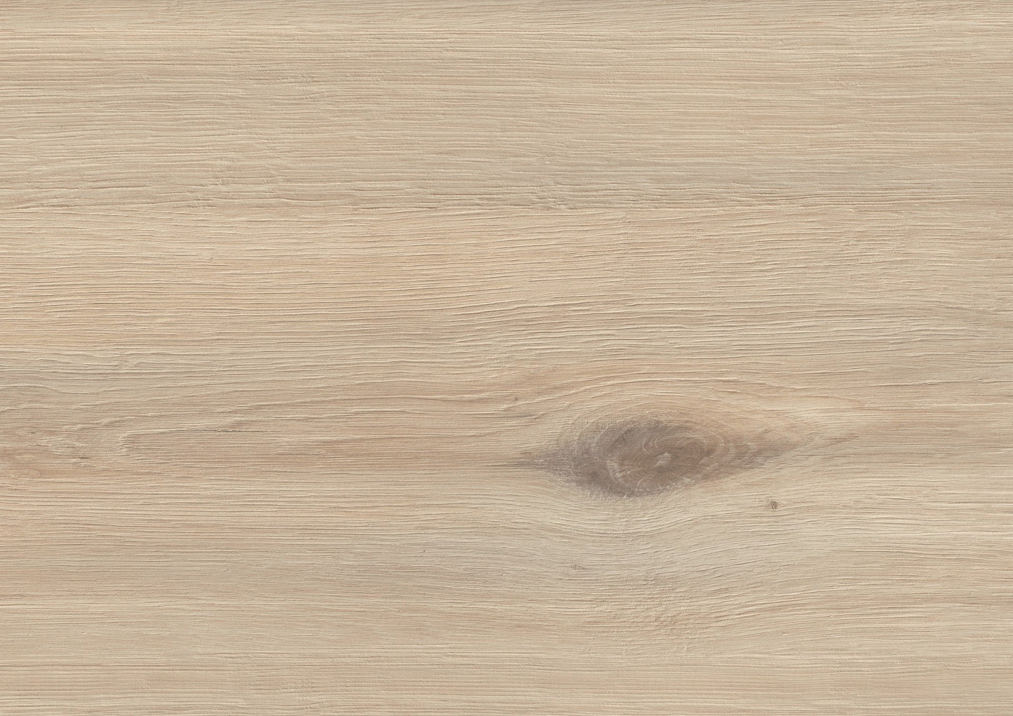 Sofia Oak image 2