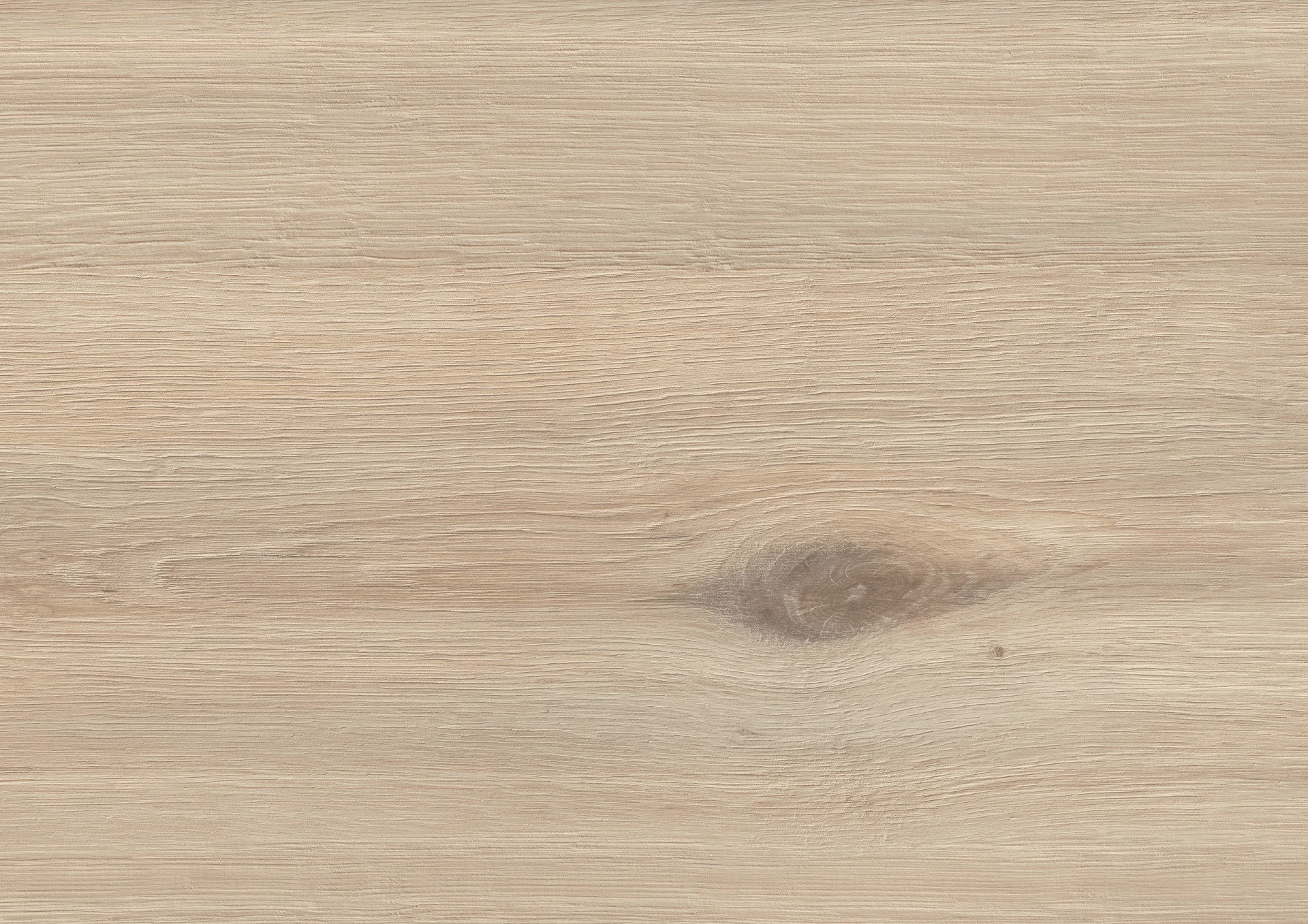 Sofia Oak image 2