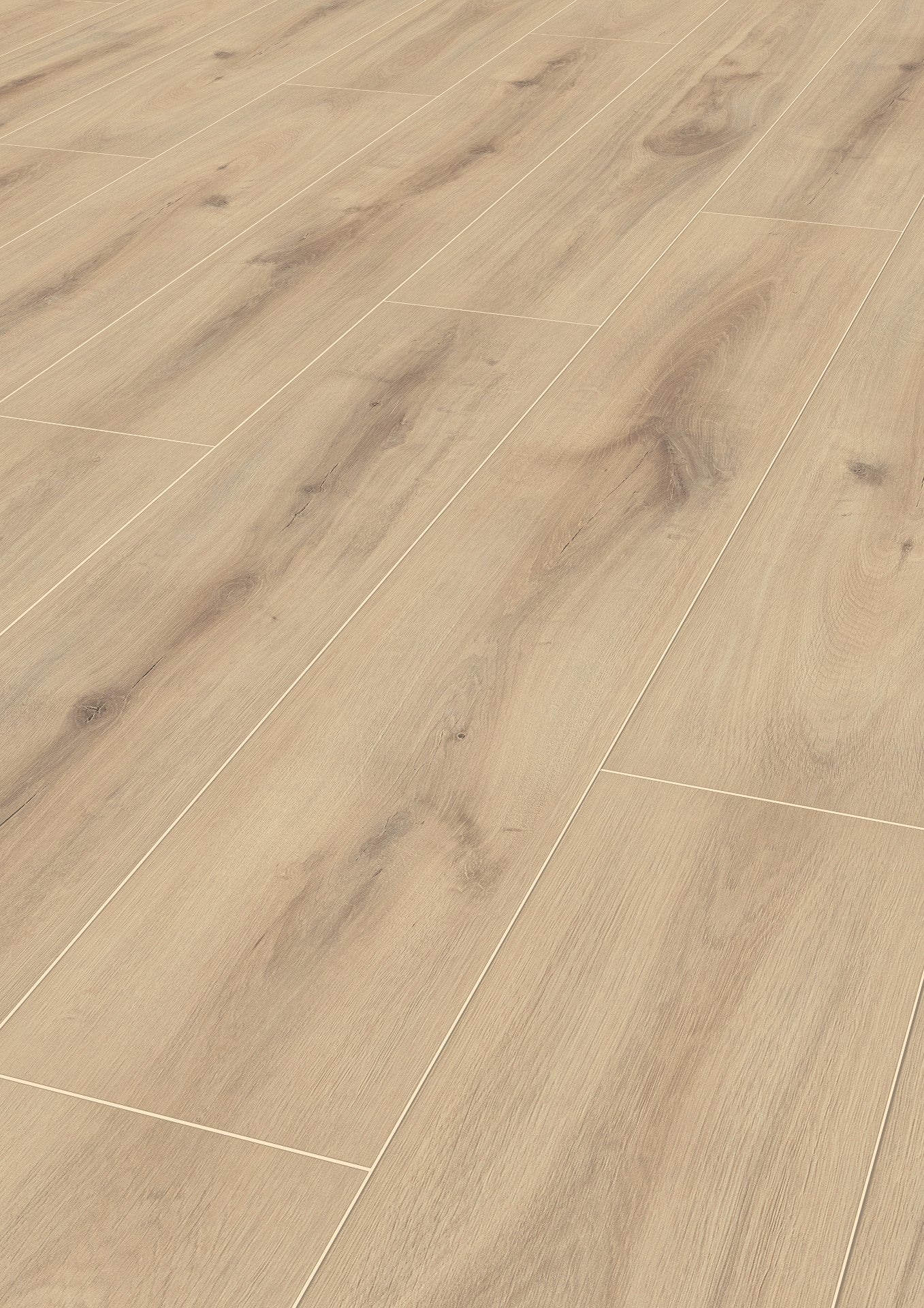 Sofia Oak image 1