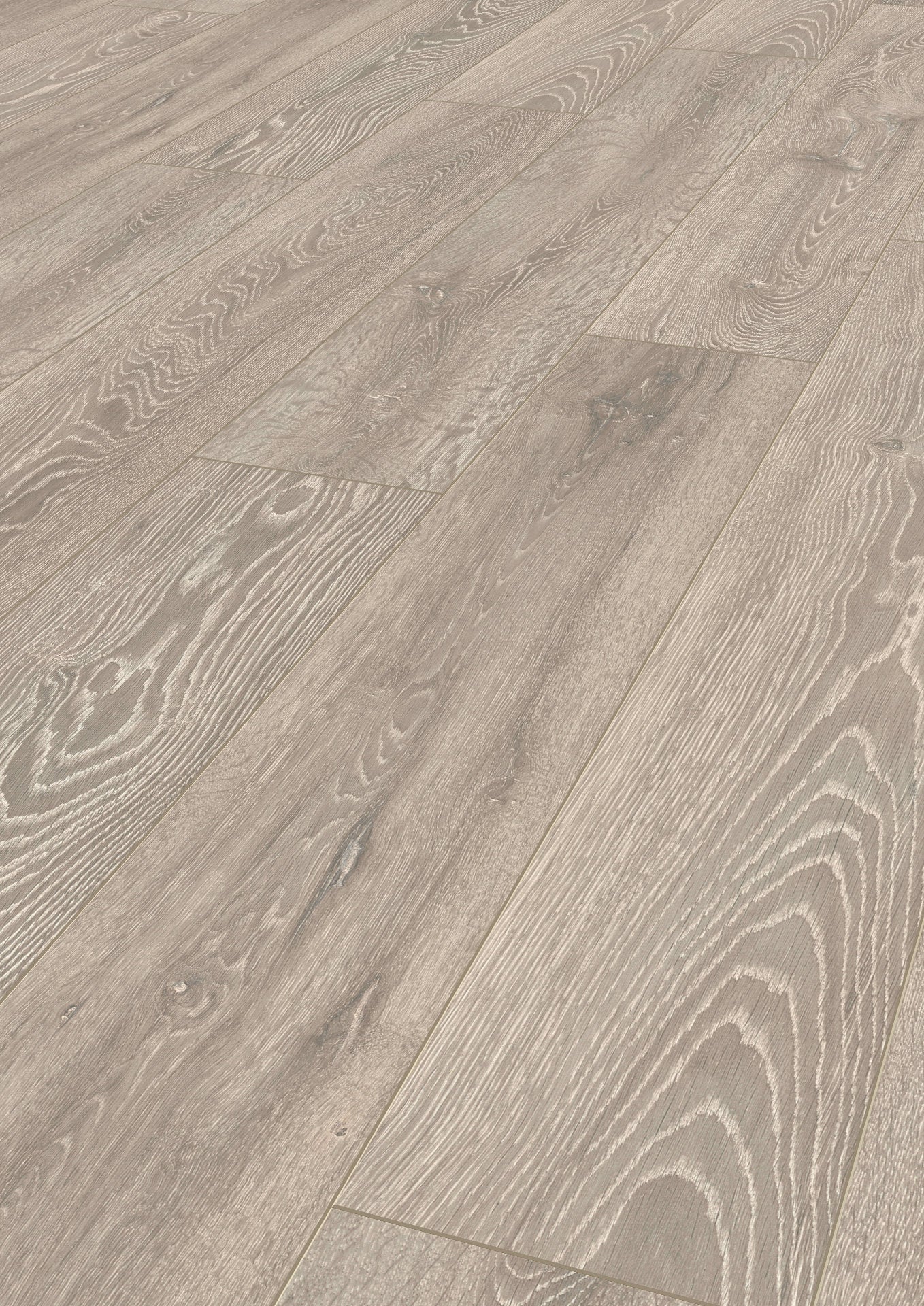 Boulder Oak image 2