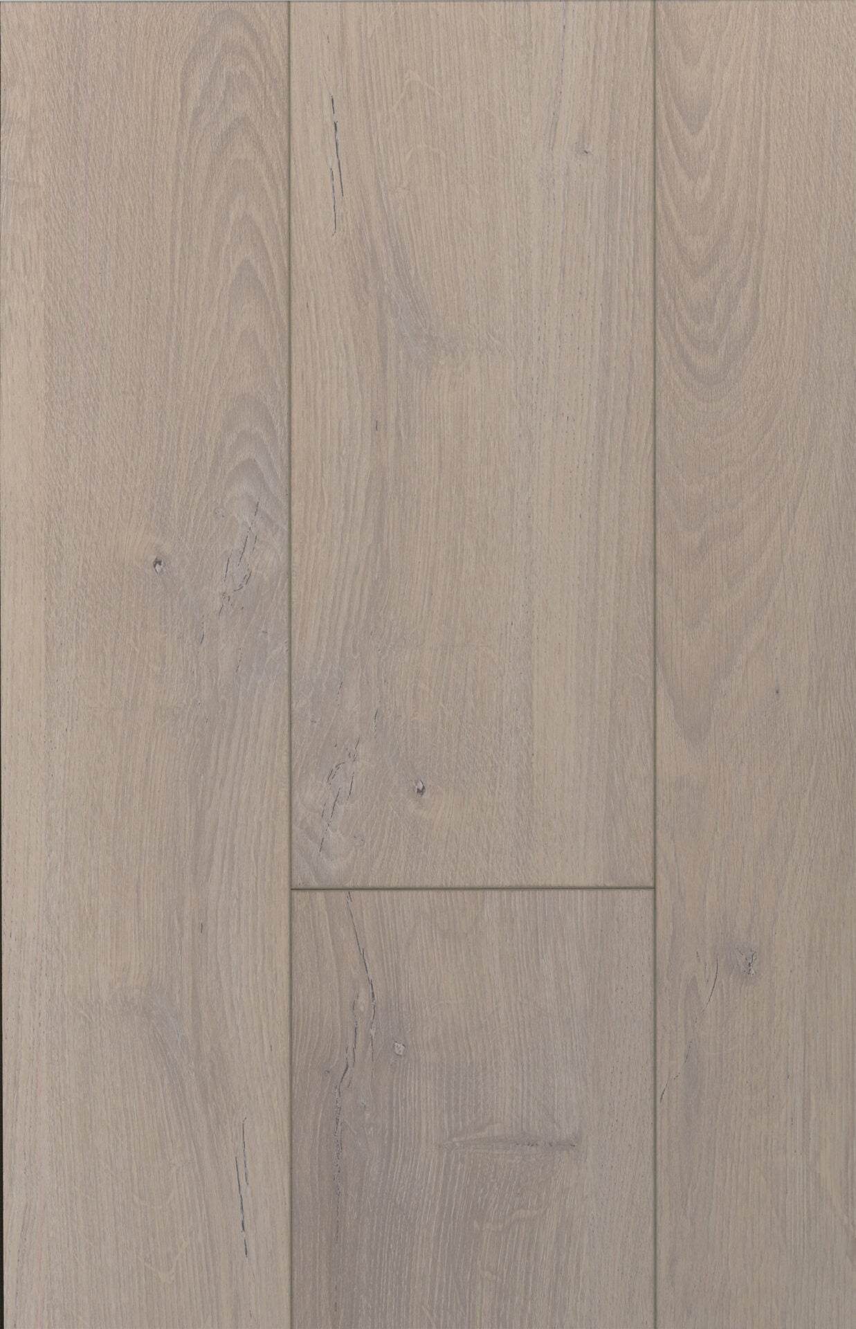 Larissa Oak image 1