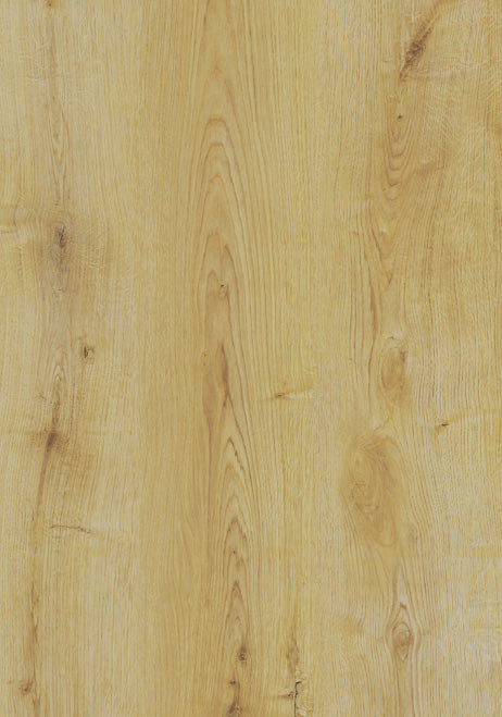 Privas Oak image 1