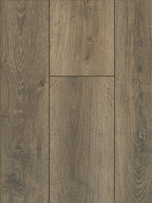 Truffle Oak image 1