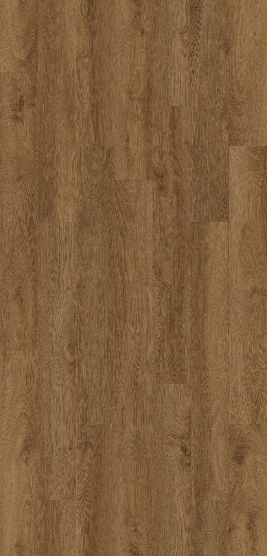 Shannon Oak image 1