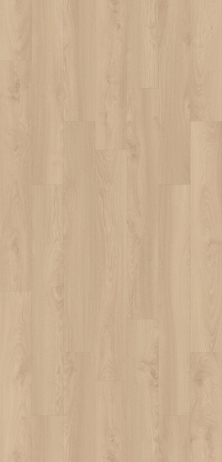 Barrow Oak image 1