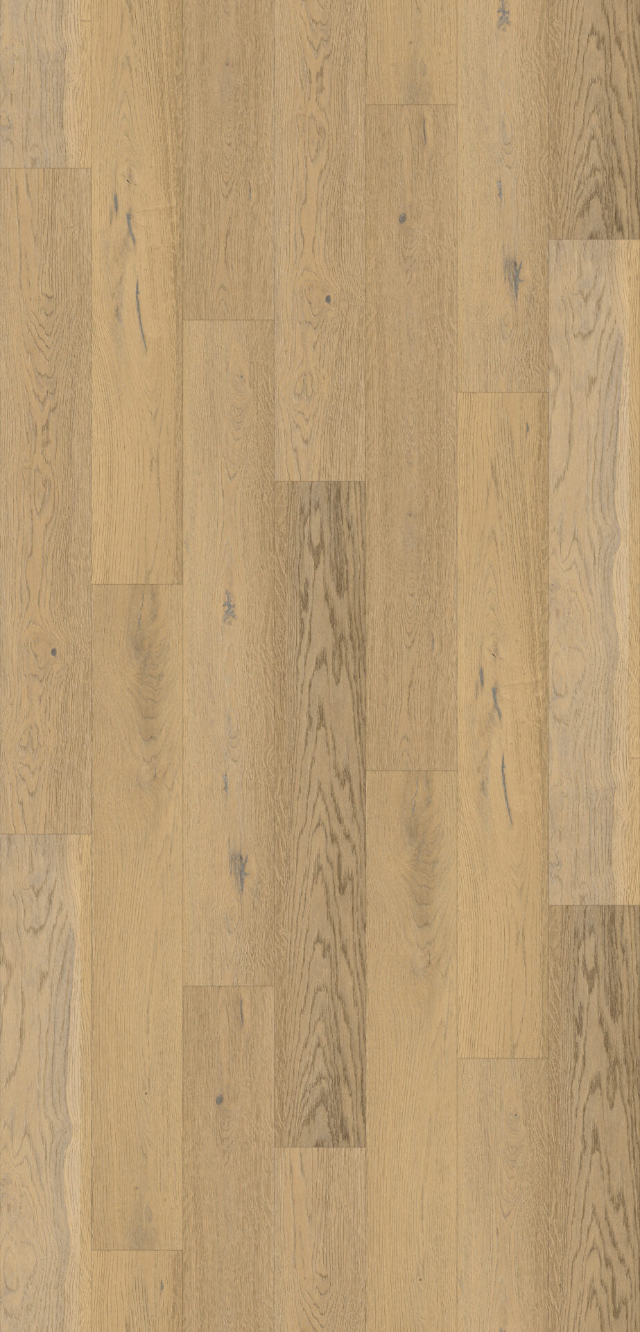 Boyne Oak image 1