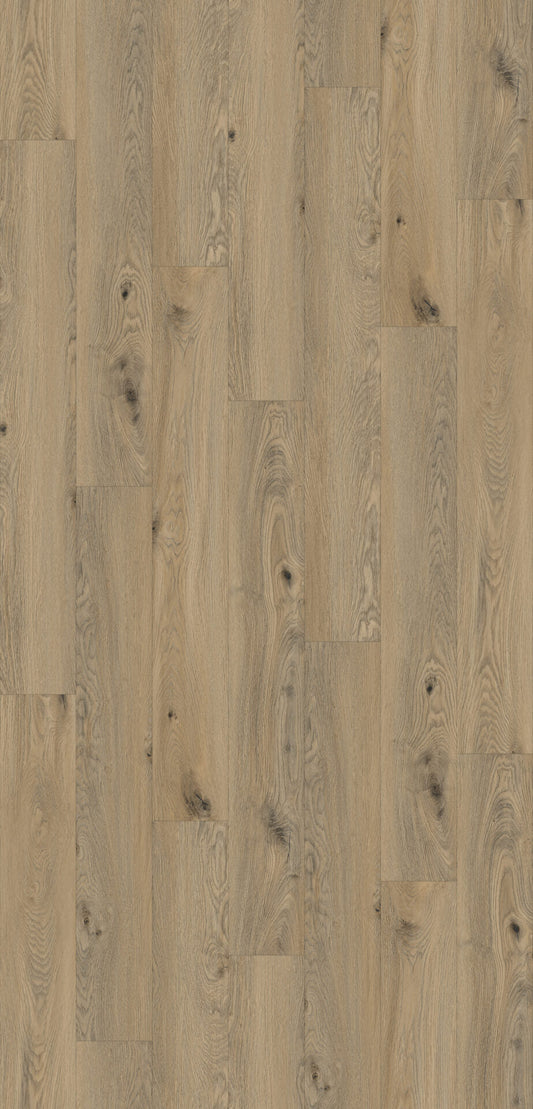 Glendalough Oak image 1