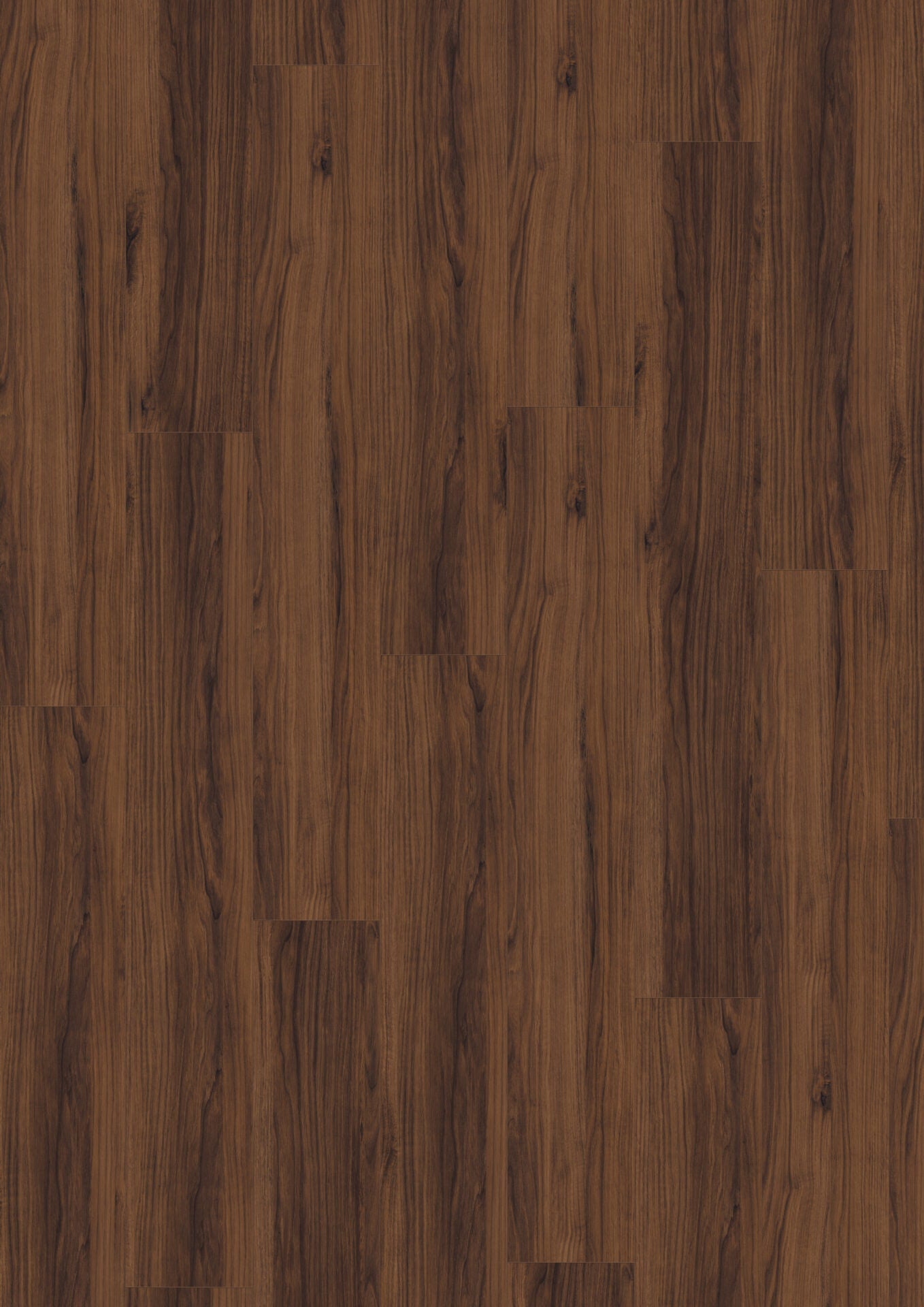 Brown Warmia Walnut image 2