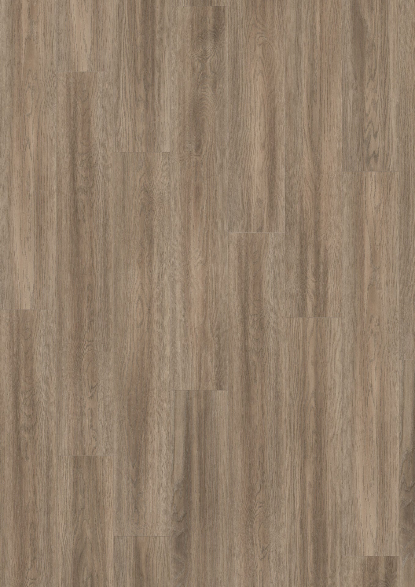 Grey Soria Oak Aqua image 2