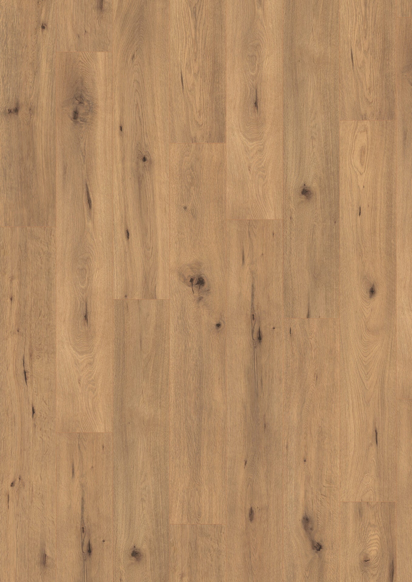Natural Wild Oak image 2