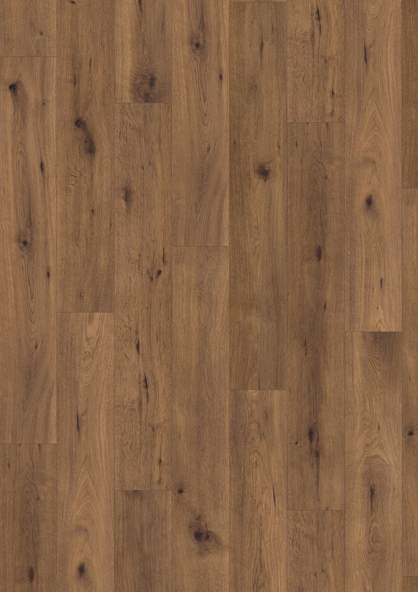 Inuvik Oak image 1