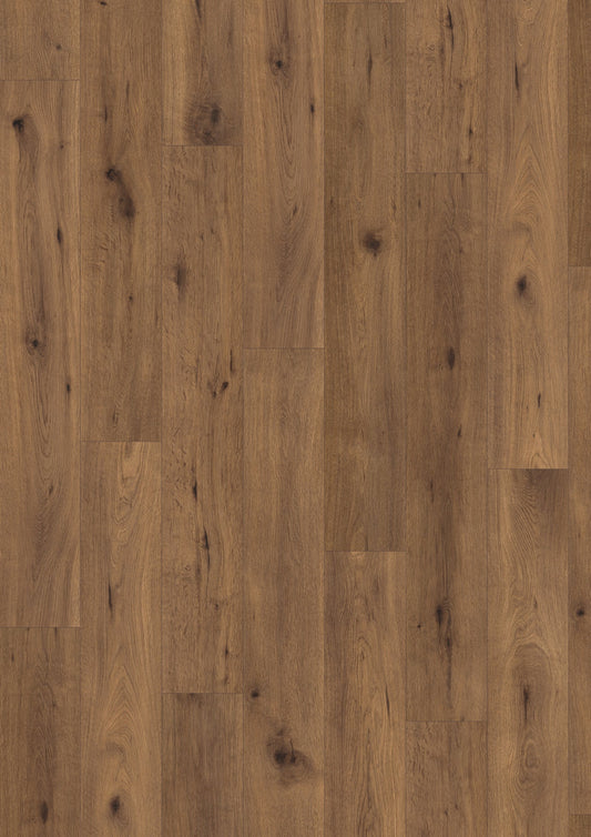 Inuvik Oak image 1
