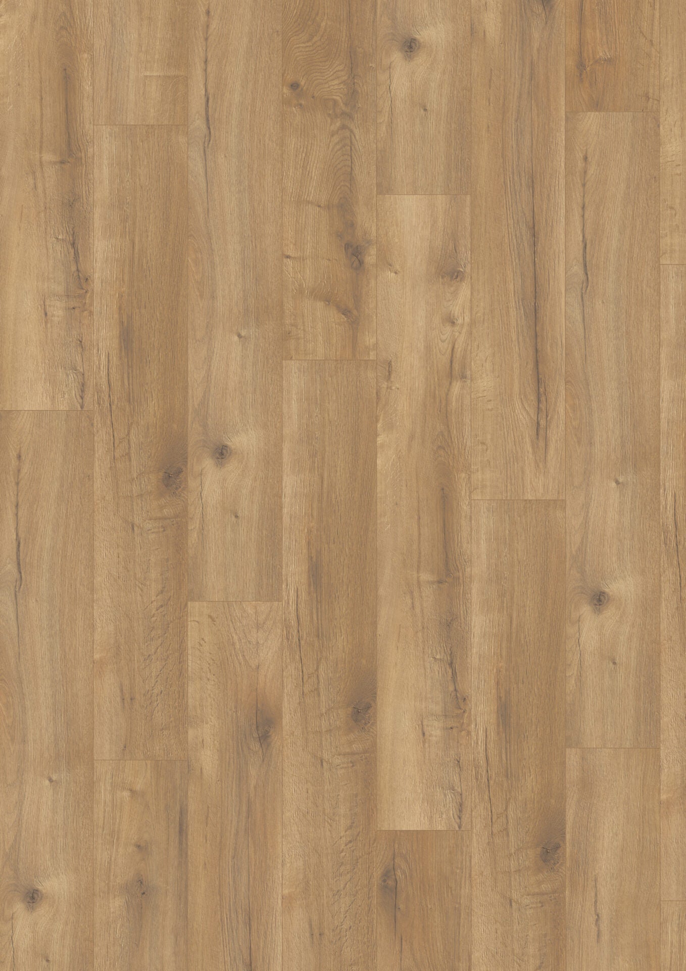 Honey Loja Oak image 1