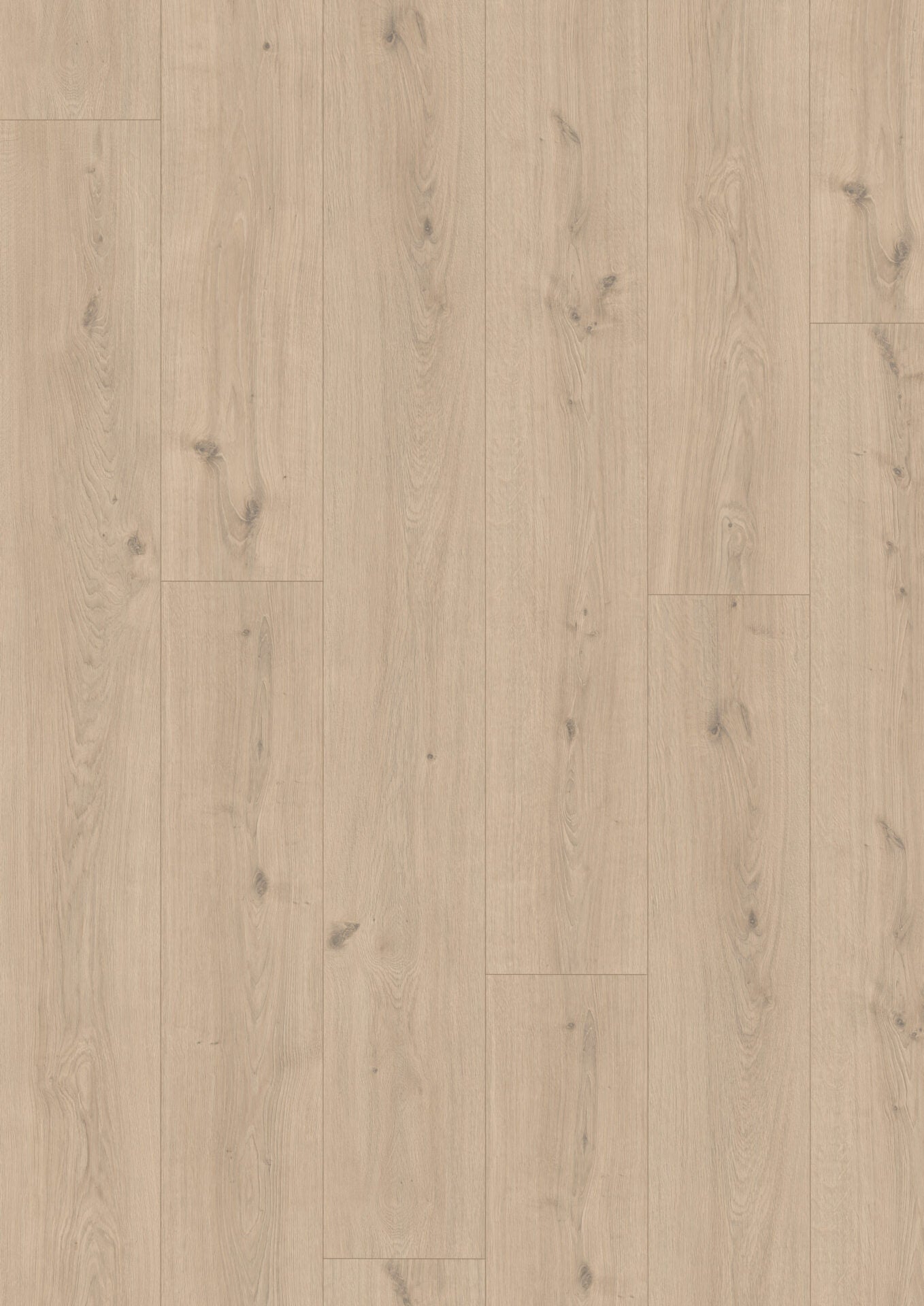 Cream Seafield Long image 2
