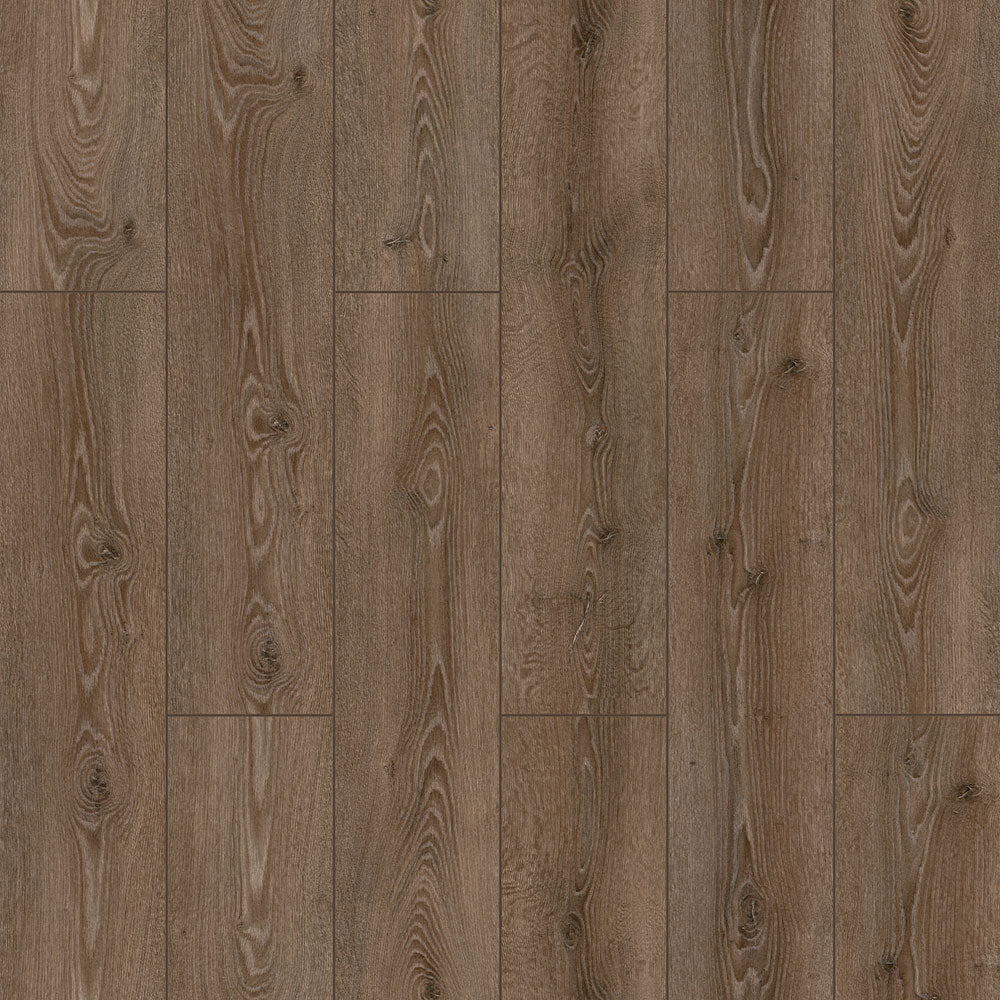Bosphorus Oak
