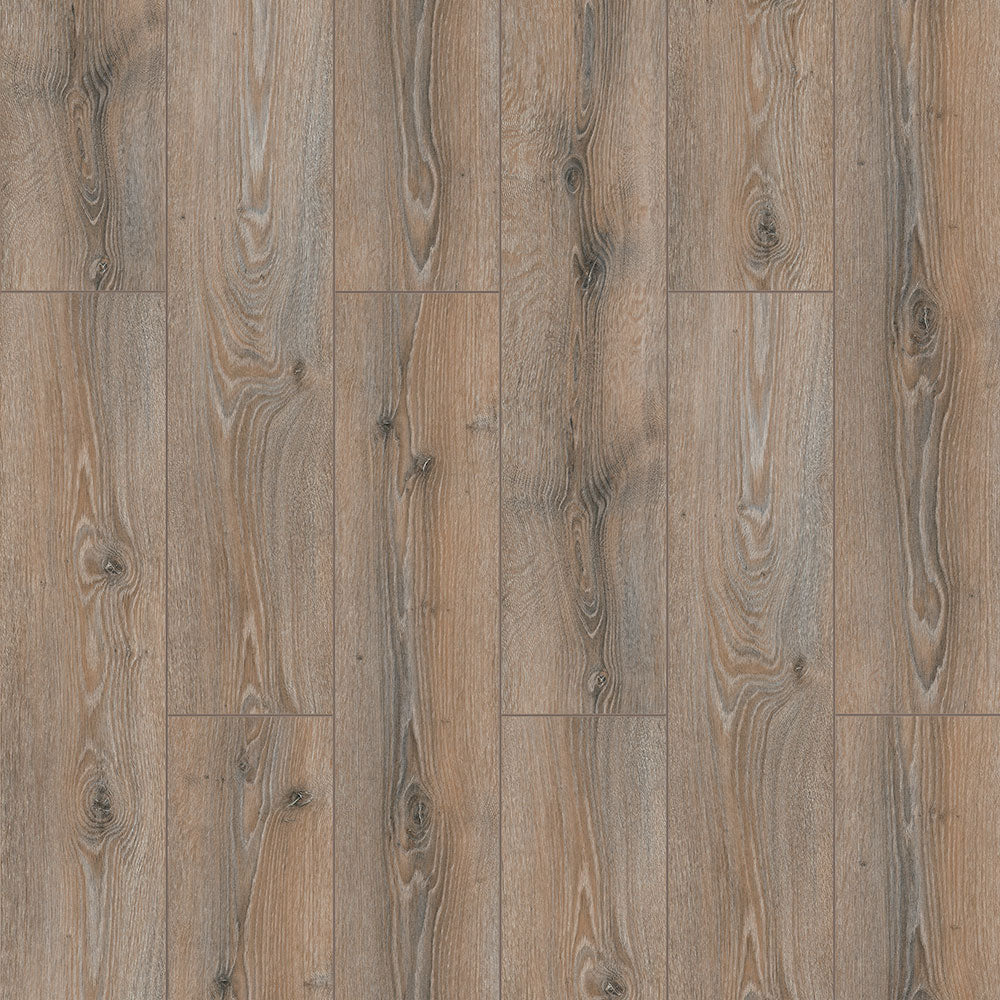 Normandy Oak