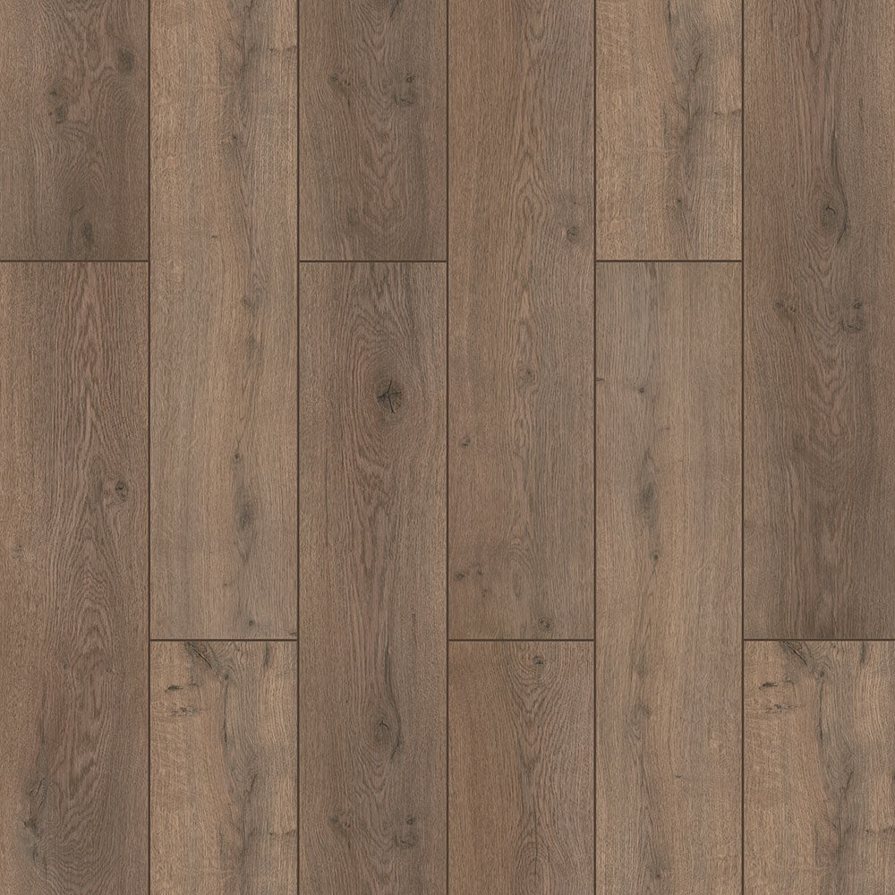 Nairobi Oak