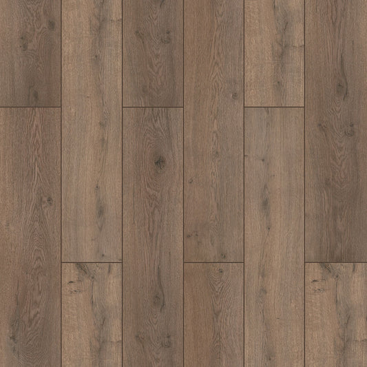 Nairobi Oak
