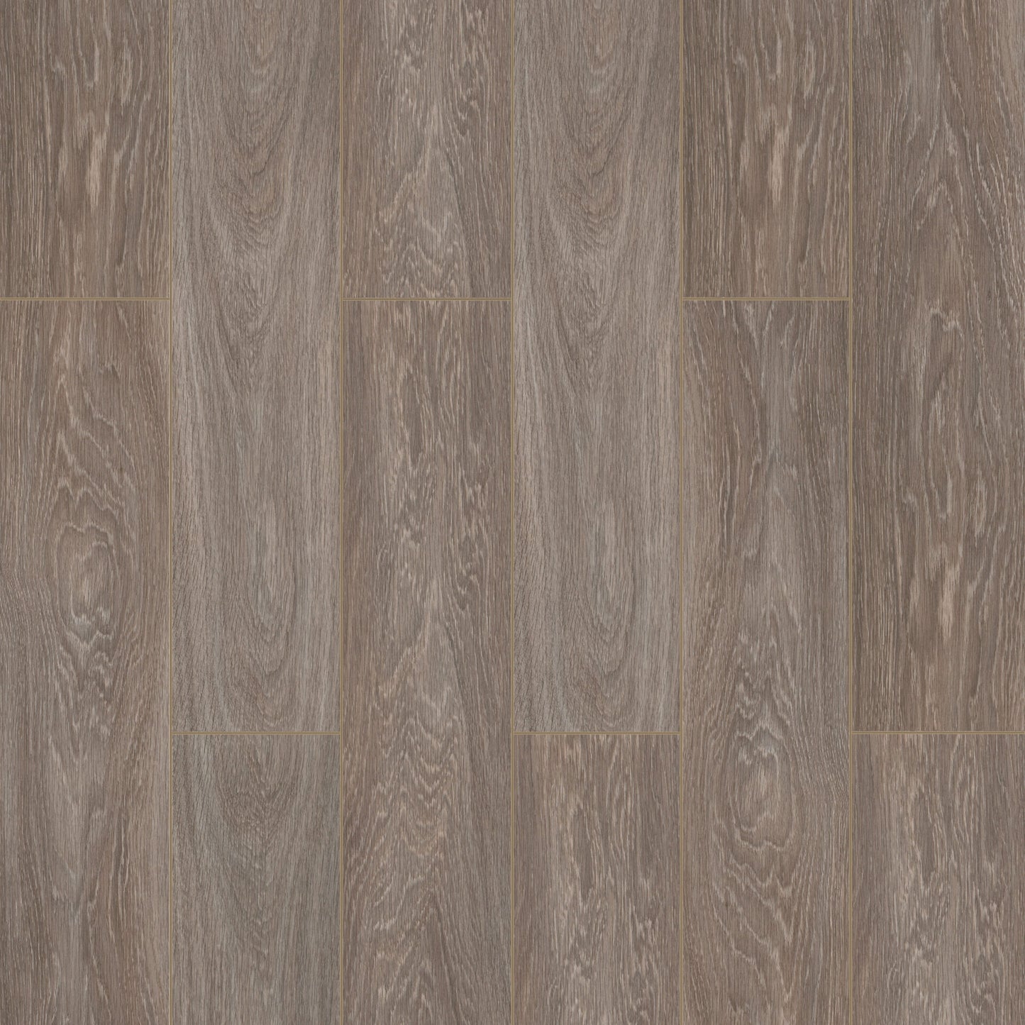 Shanghai Oak