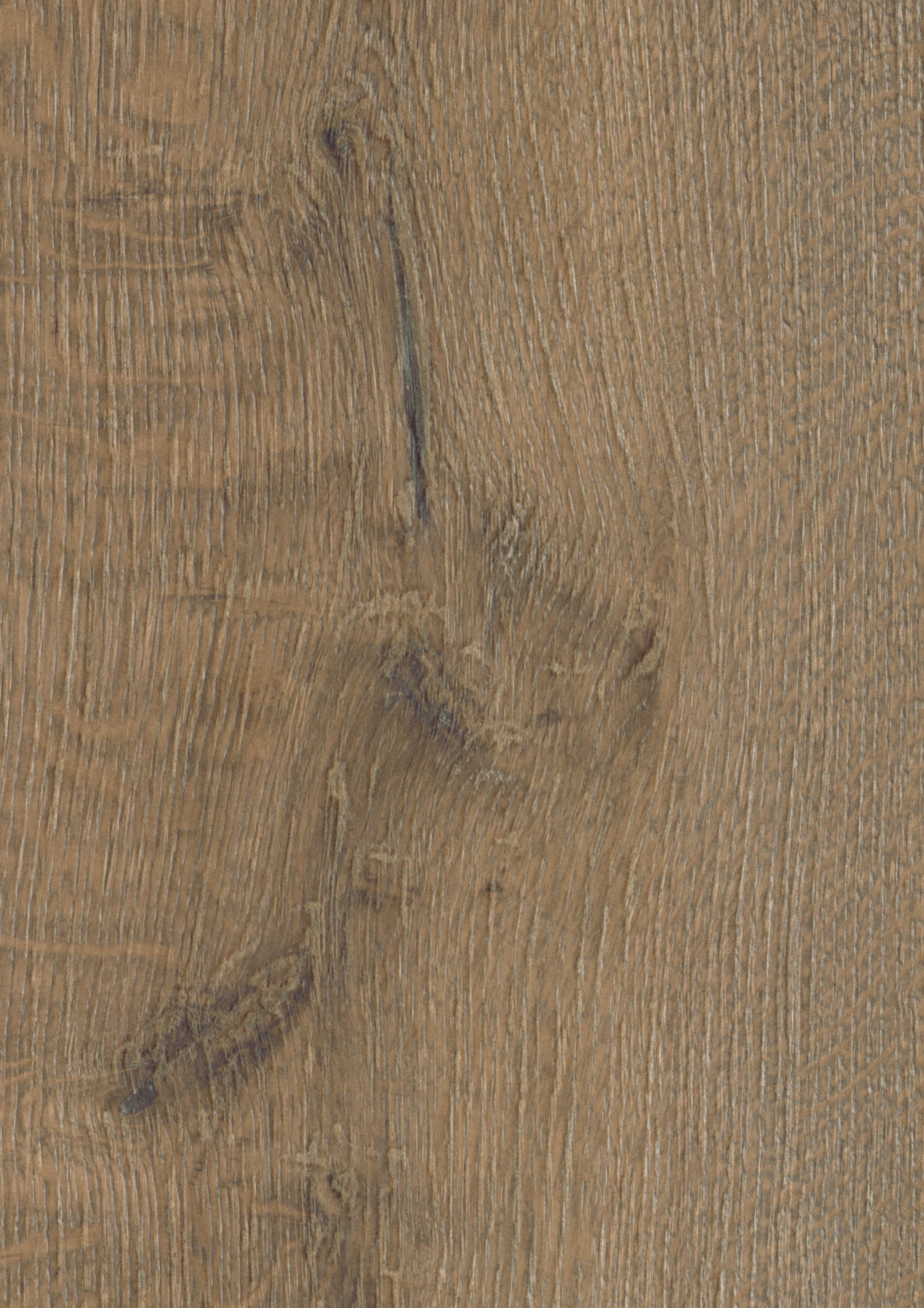 Hare Tegernsee Oak