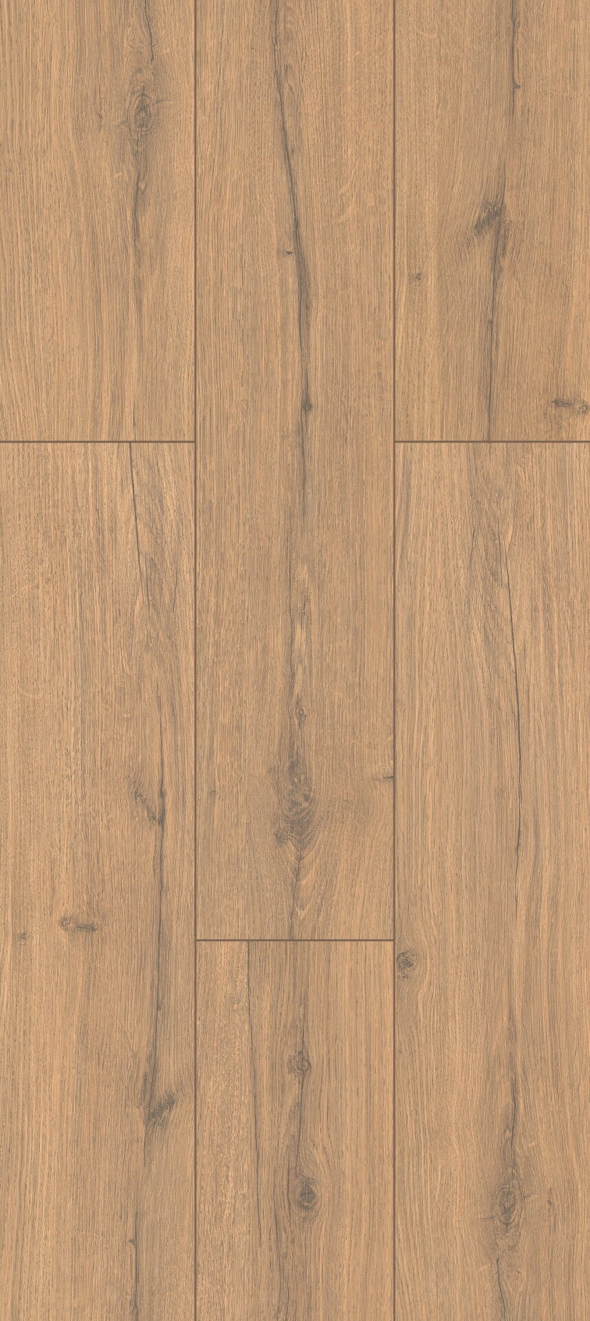 Alkum Oak